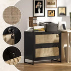 Schedario con Serratura, Mobile Classificatore Boho a 2 Cassetti con Barra Appendice Regolabile per Formati Letter, A4 e Legali