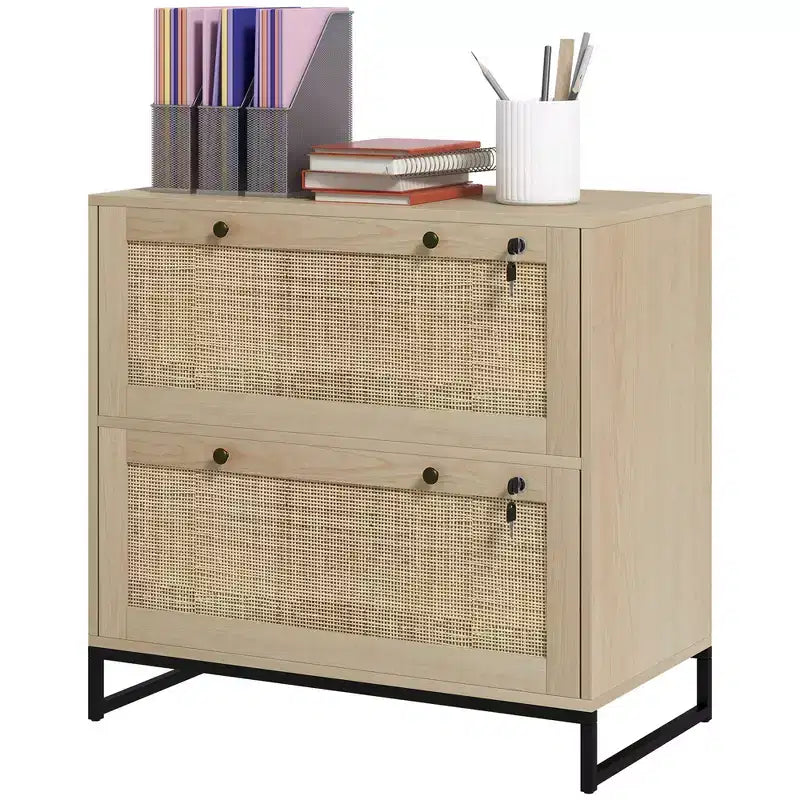 Lockable Filing Cabinet, Boho 2 Drawer File Cabinet with Adjustable Hanging Bar for Letter, A4 and Legal Size